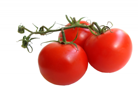 Meydan Gazetesi- domatesin en güzeli brlikte üretileni