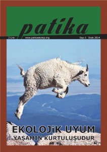 Meydan Gazetesi- Patika Dergisi