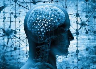 Alzheimer Hastalığını Önleyebilecek Hücre Keşfedildi