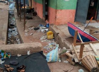 Nijerya’da Silahlı Saldırıların Sonucunda 30 Kişi Yaşamını Yitirdi