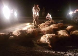 Askeri Araç Hakkari’de 20 Koyunu Öldürdü