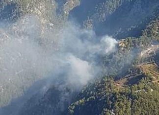 Köyceğiz’de Orman Yangını