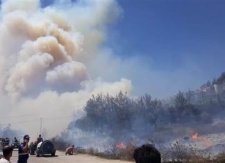 Mudanya’da Orman Yangını