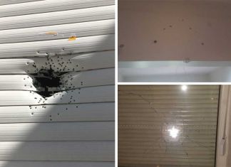 HDP’li Avukata Faşist Saldırı