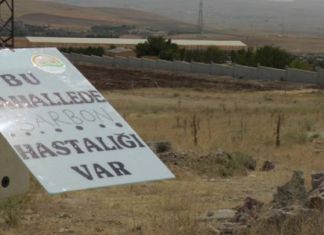 Silivri’de Şarbon Karantinası