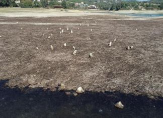Suları Çekilen Gölden Mezarlık Açığa Çıktı