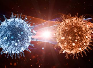 Koronavirüs’ün Siber Virüsü