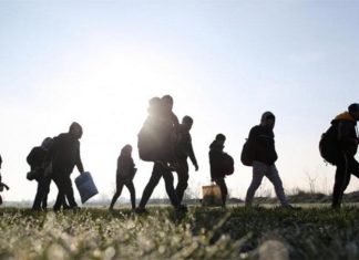 Yunanistan’a Geçen “Türkiyeli Göçmen” Sayısı Suriyeliden Fazla