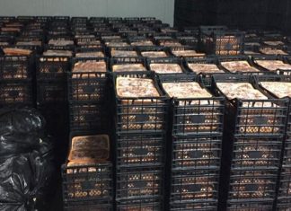 Furkan Vakfı “İhtiyaç Sahiplerine” Diyerek Topladığı Etlerden Sucuk Yaptı