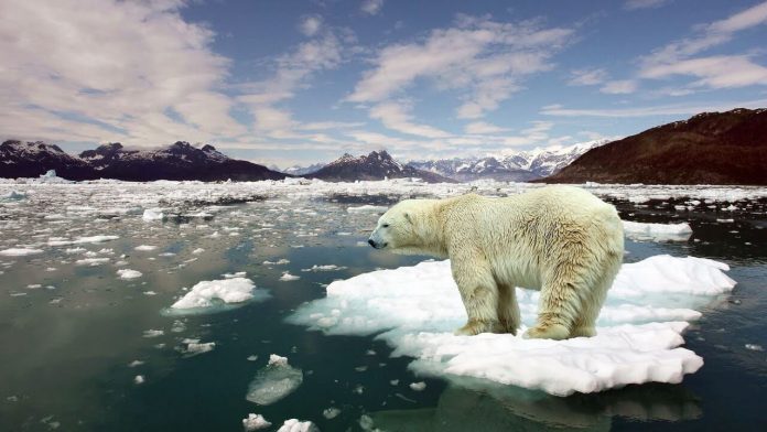 21. yy’da Teslimiyet Teorileri ve Pratikleri: İklim Zirvesi'ne “Karşı” İklim Adaleti Yürüyüşü