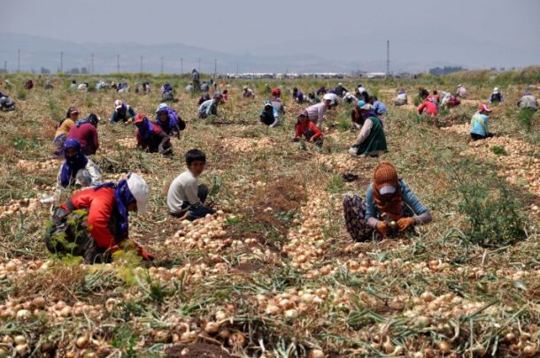 Geçici İşçilikten Sürekli Sömürüye